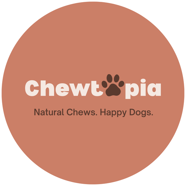 chewtopia